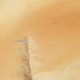 Illustration for article titled The Empty Quarter Is The Largest Sand Sea On The Planet